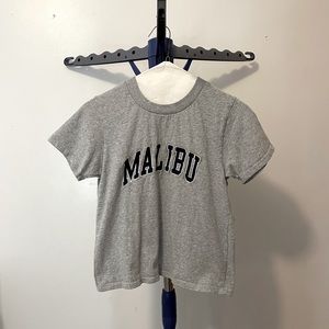 Brandy Melville Gray Cropped Malibu Tee
